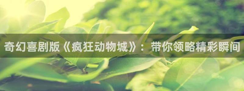 新闻图片