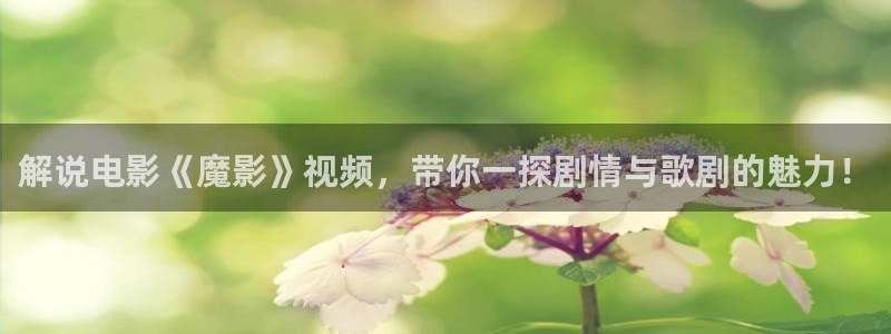 樱桃.apk
