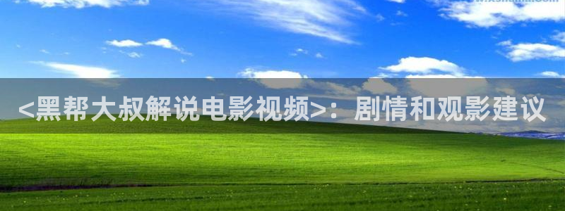 樱桃视频ai