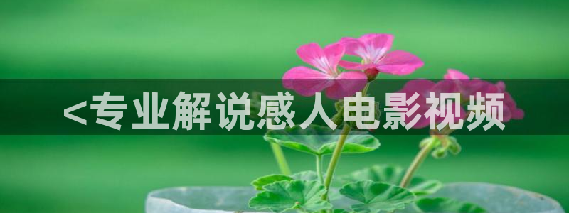 红樱桃在线观看免费高清电视剧荣耀