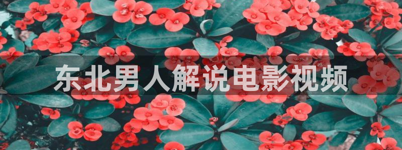 外国电影樱桃