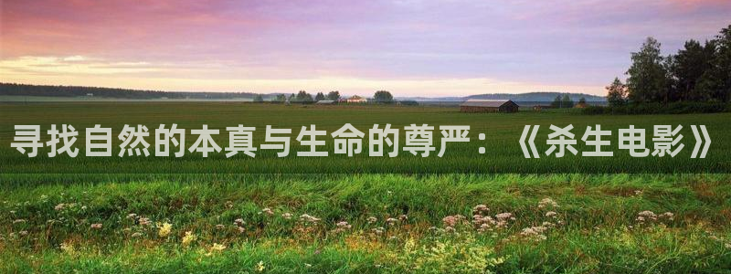 樱桃视频苹果下载