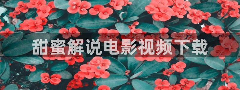 樱桃视频app色