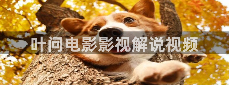 樱桃 短视频