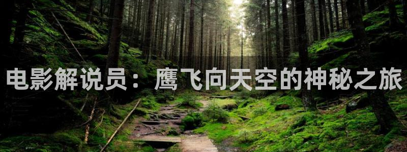 www樱桃视频