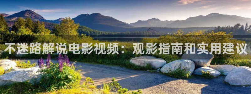樱桃视频免费观看完整