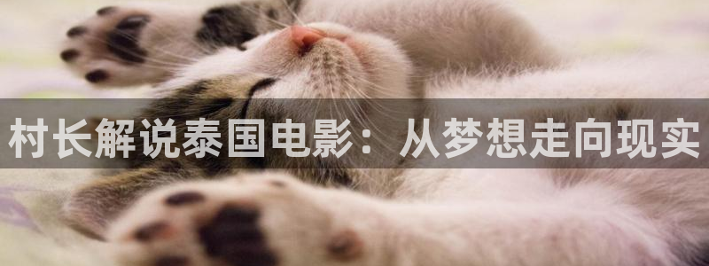 樱桃视频视频在线观看