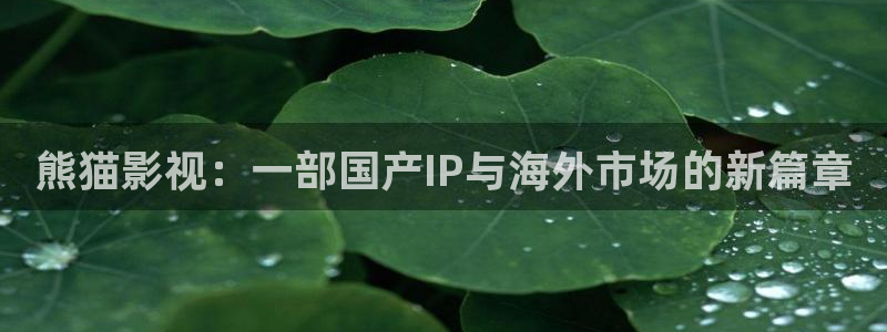 樱桃视频xxx