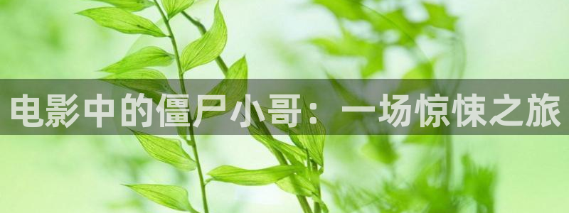 樱桃视频网站免费在线观看