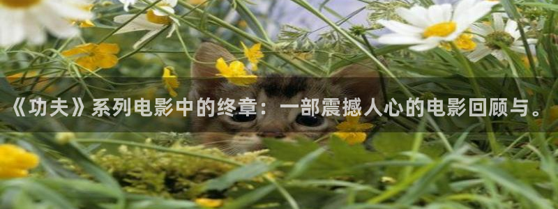 www樱桃视频