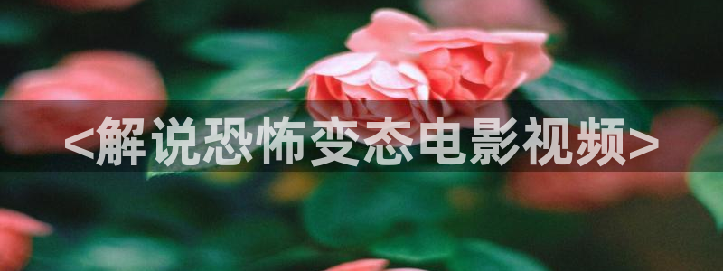 樱桃视频78
