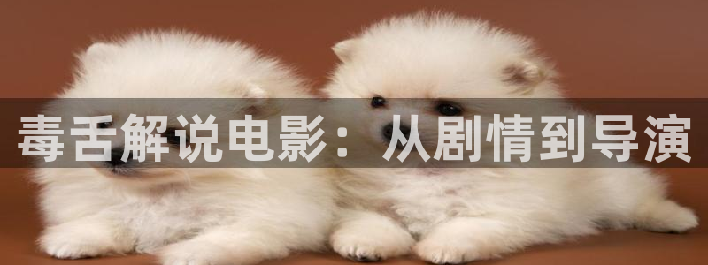 樱桃影院免费高清电视剧软件介绍
