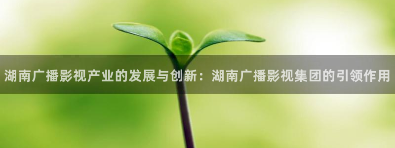 樱桃视频在这
