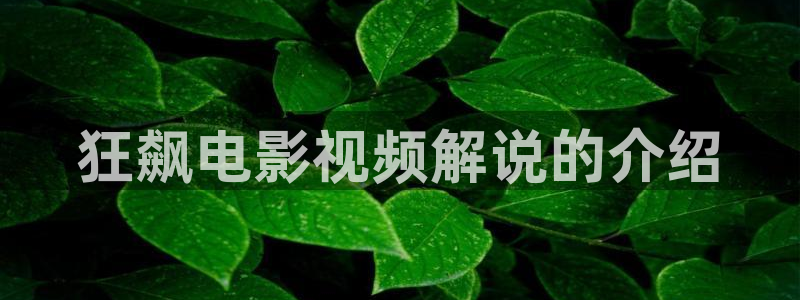 新的樱桃