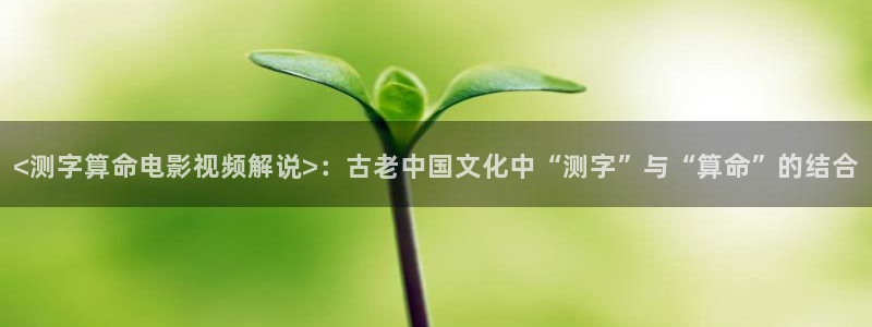 樱桃视频最久网站