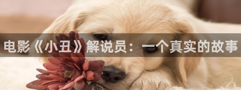 樱桃在线免费视频